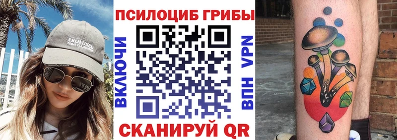 купить   Порхов  Псилоцибиновые грибы GOLDEN TEACHER 